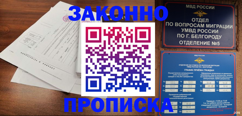 прописка в Фрязино